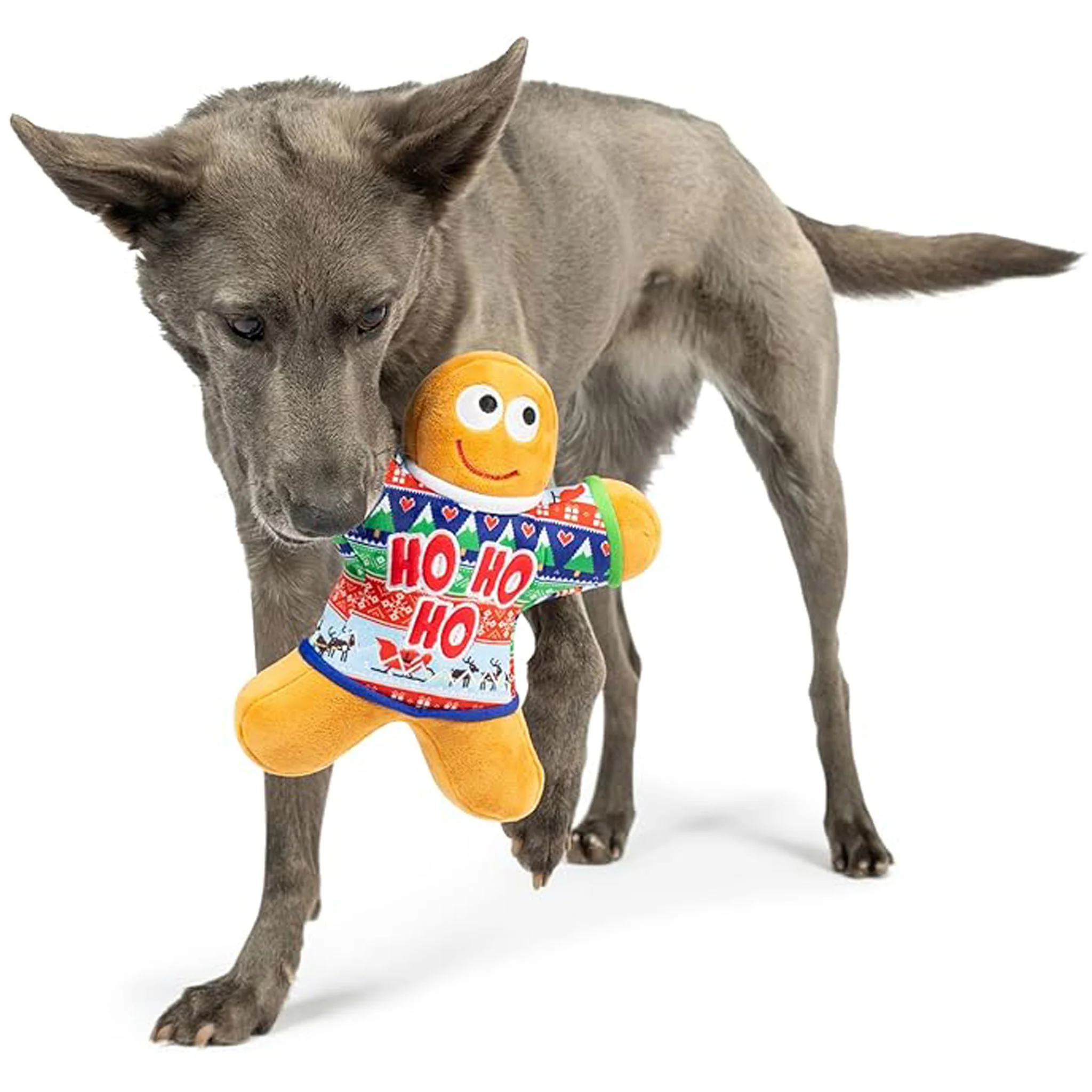 Thumbnail 2